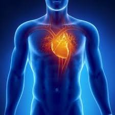 Heart Tonic in farmacii, teapa, contraindicatii